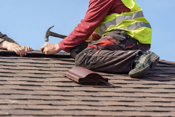 Best Metal Roofing Contractor  in Trempealeau, WI