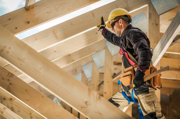 Best Roof Gutter Cleaning  in Trempealeau, WI