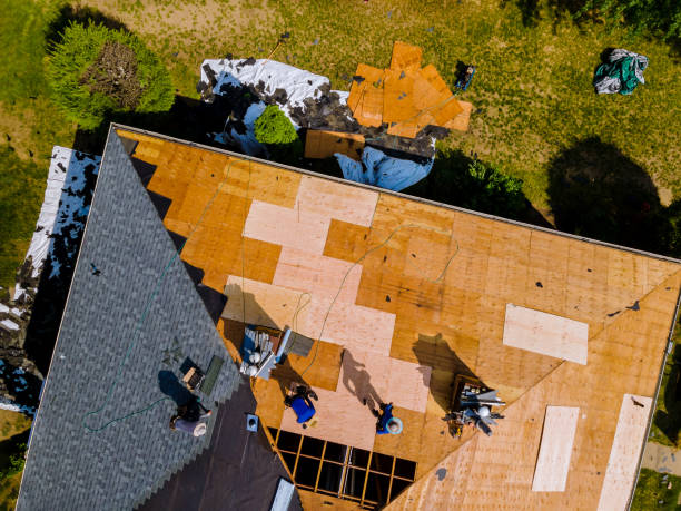 Roof Gutter Cleaning in Trempealeau, WI
