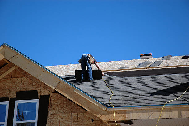 Best Flat Roof Repair Services  in Trempealeau, WI