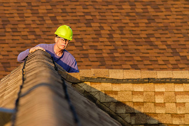 Best Roof Repair Services  in Trempealeau, WI