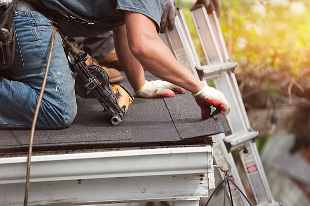 Best Local Roofing Companies  in Trempealeau, WI