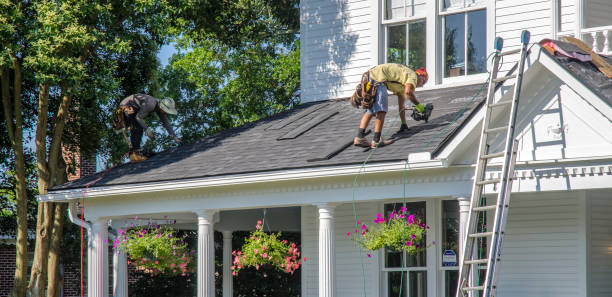 Best Commercial Roofing Services  in Trempealeau, WI